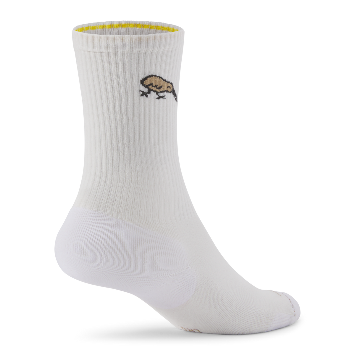 Allbirds Anytime Crew Sock in WEISS