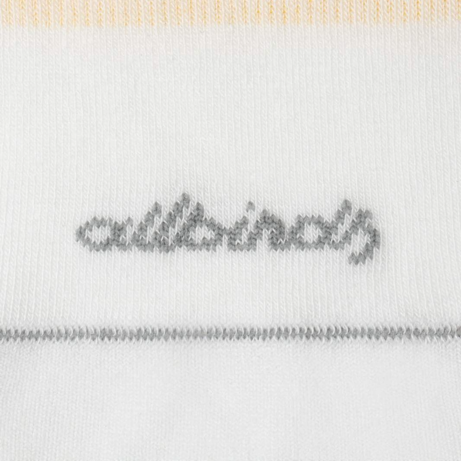 Allbirds Anytime No Show Sock in WEISS